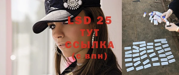 ПСИЛОЦИБИНОВЫЕ ГРИБЫ Верея