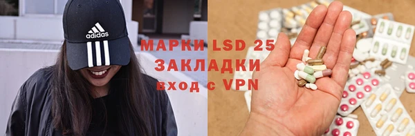 ПСИЛОЦИБИНОВЫЕ ГРИБЫ Верея